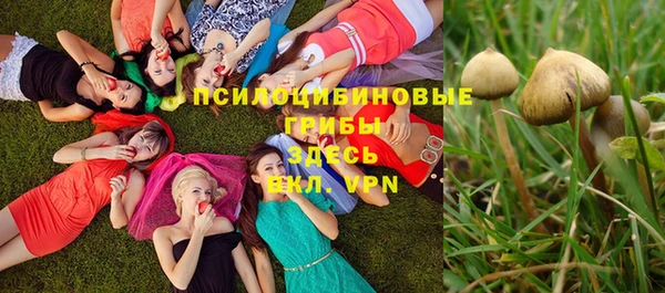 круглые Богородицк