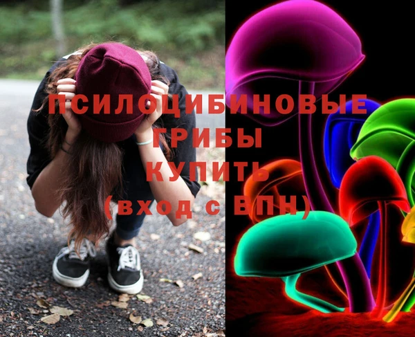 мдма Богданович