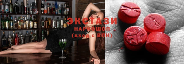 индика Елизово