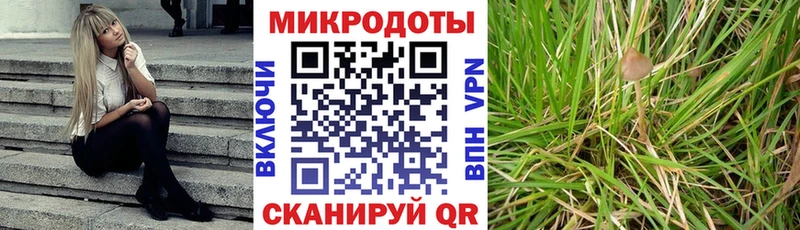 цены наркотик  Сковородино  Псилоцибиновые грибы Psilocybine cubensis 